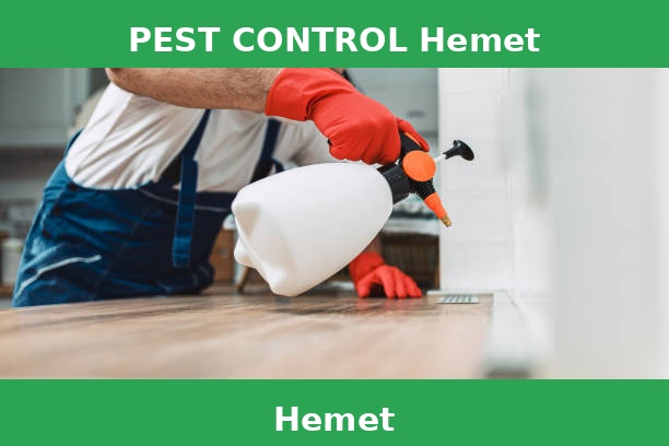 PEST CONTROL Hemet
